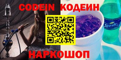 индика Шелехов