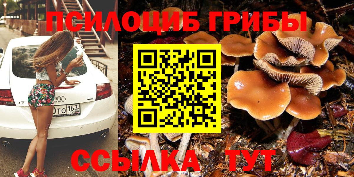 наркотики  Галлюциногенные грибы Psilocybe  Асбест  Вход с VPN  Галлюциногенные грибы MAGIC MUSHROOMS 